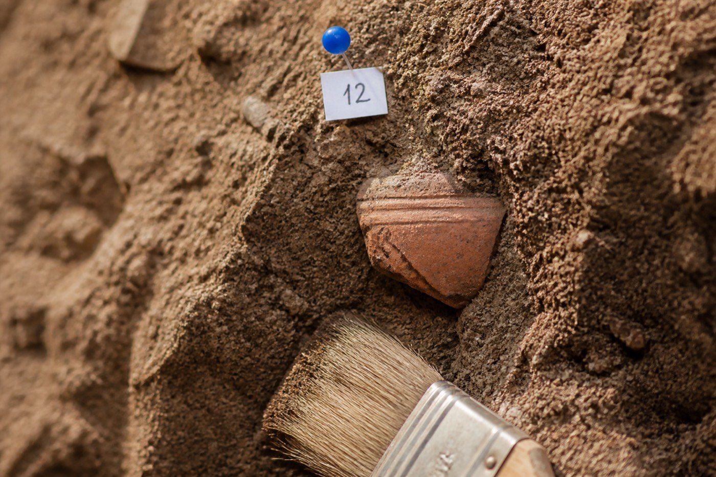 Pottery fragment edge exposed in compacted soil
